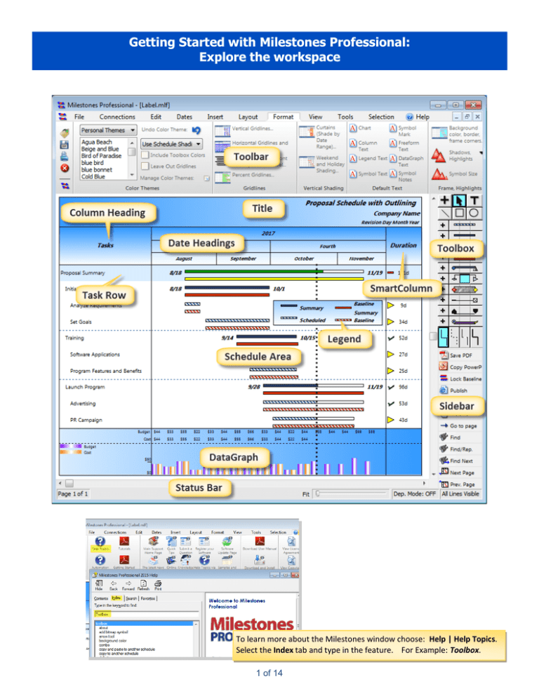 Getting Started With Milestones Professional