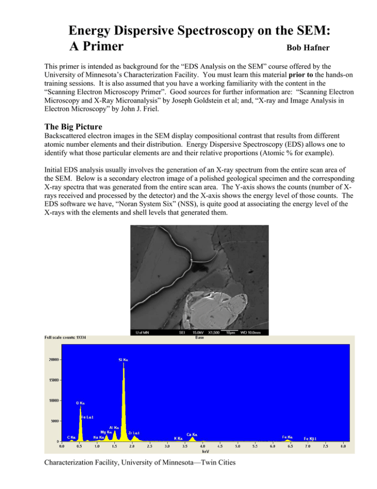 EDS Analysis on SEM: A Primer - University of Minnesota