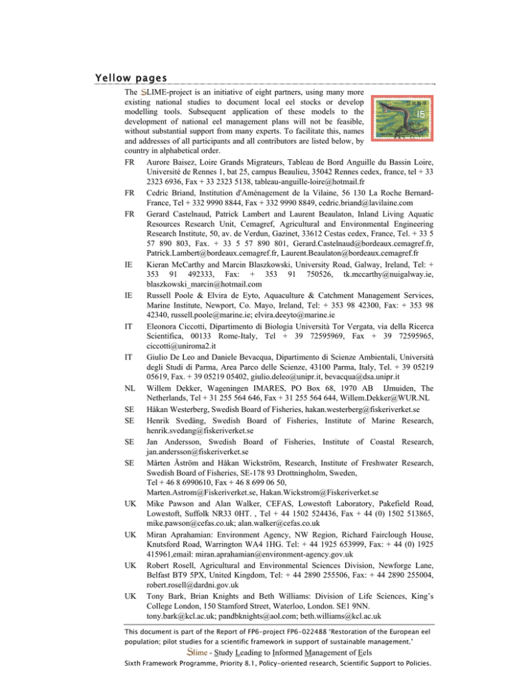 Yellow pages of eel students