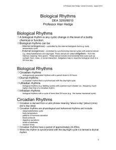 Biological Rhythms: Circadian Clock & Jet Lag Explained