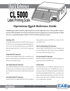 Label Printing Scale