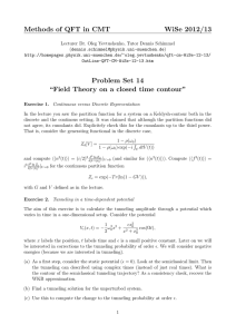 Methods of QFT in CMT WiSe 2012/13 Problem Set 14 “Field Theory