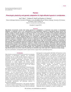 Phenotypic plasticity and genetic adaptation to high