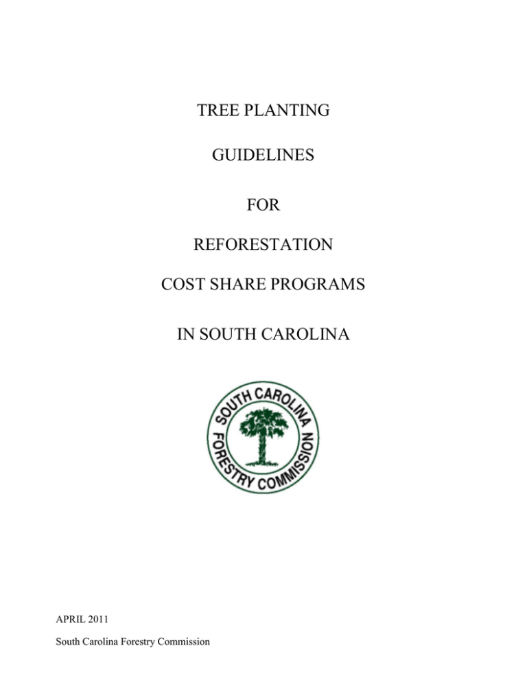 tree-planting-guidelines-for