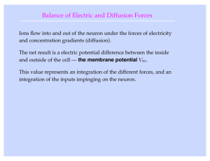 Balance of Electric and Diffusion Forces