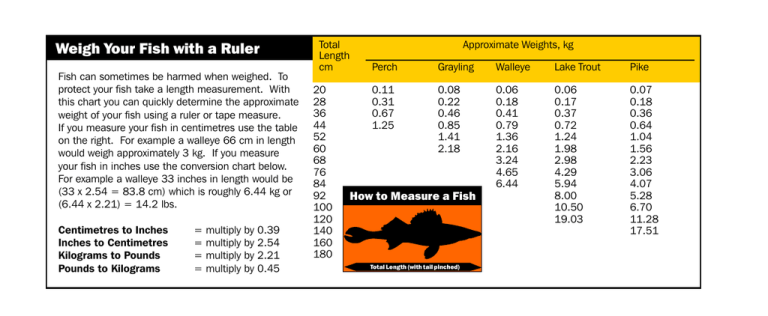 Weigh Your Fish with a Ruler