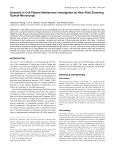 Domains in Cell Plasma Membranes Investigated by Near