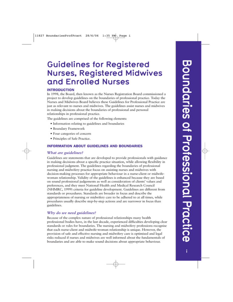 Guidelines Regarding Boundaries of Professional Practice