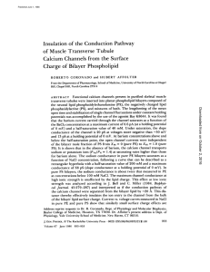 Insulation of the Conduction Pathway of Muscle Transverse Tubule