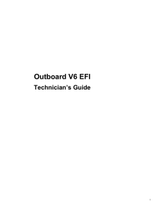 Outboard V6 EFI