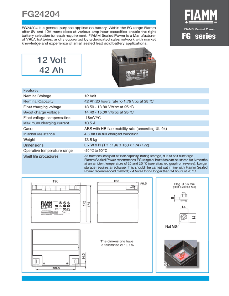 Batería FIAMM AGM 42Ah - Ideal Para Fotovoltaico