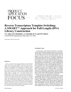 Reverse Transcriptase Template Switching