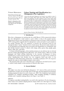 Colour naming and classification in a chimpanzee (Pan troglodytes)
