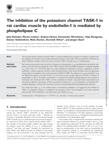 The inhibition of the potassium channel TASK-1 in rat