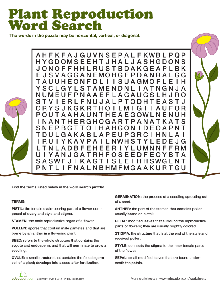 Plant Reproduction Wordsearch