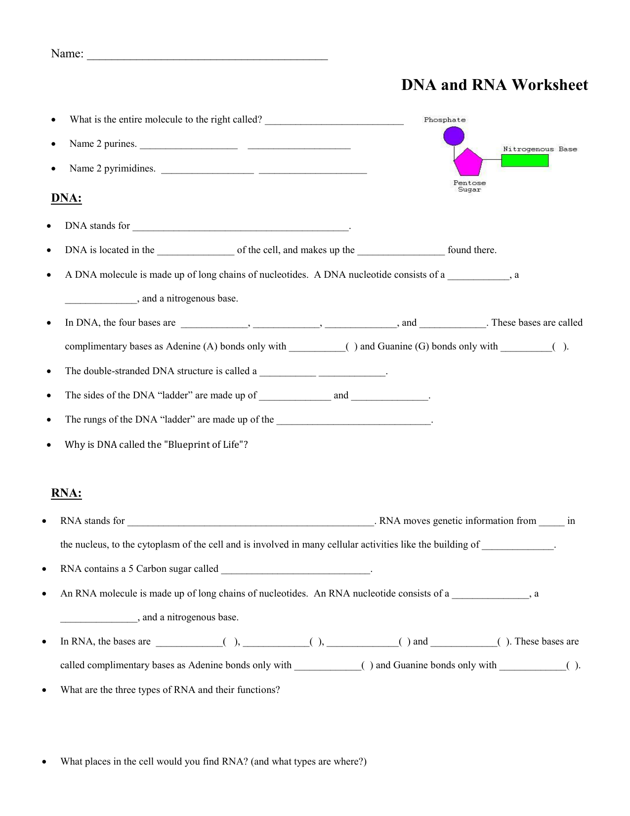 DNA:RNA worksheet Within Dna And Rna Worksheet Answers