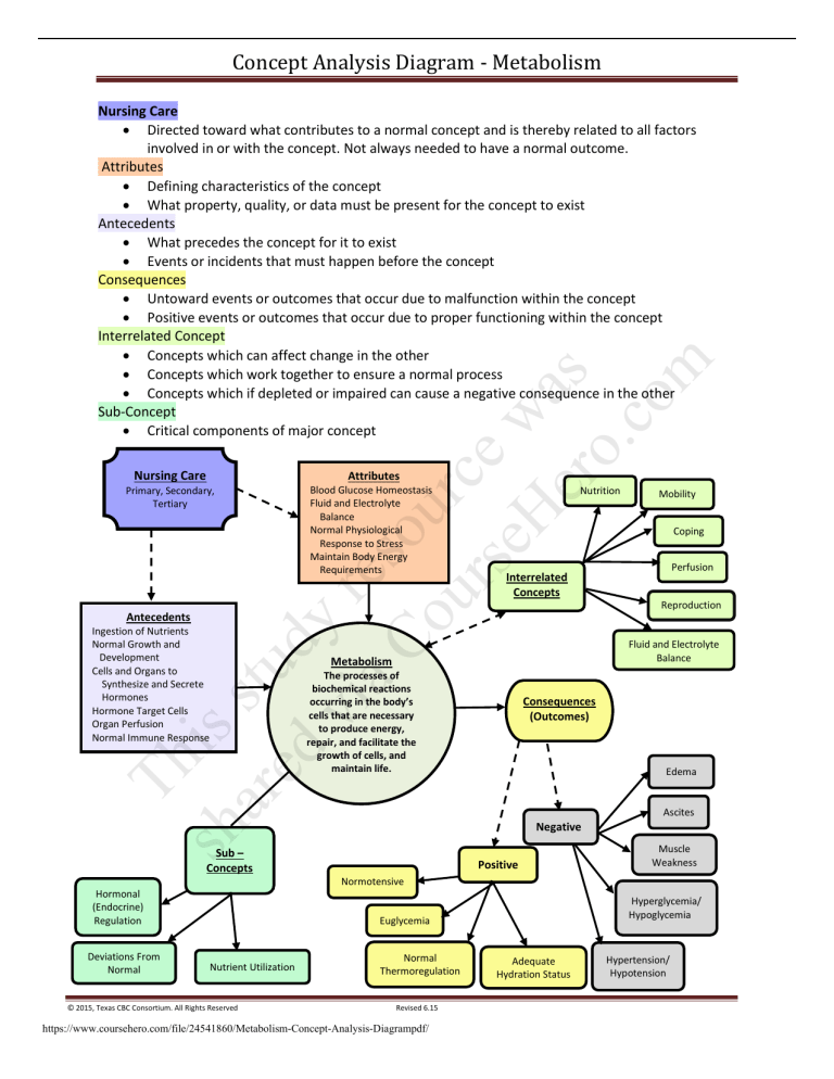 Metabolic Pathways Concept Map   025217105 1 2beb4bd860b8bf333bd82f2cfdb1c1c0 768x994 