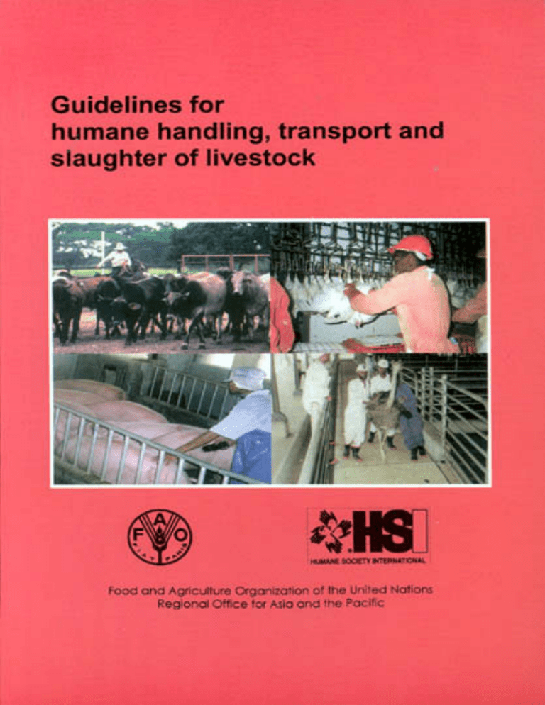 humane handling of animals