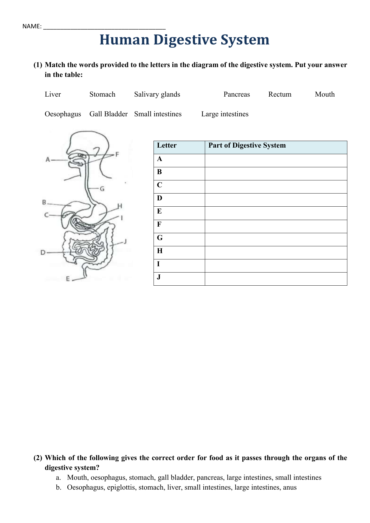 Fastest Human Digestive System  Worksheet Pdf Within Digestive System Worksheet High School