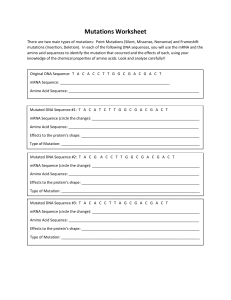 Mutations Worksheet