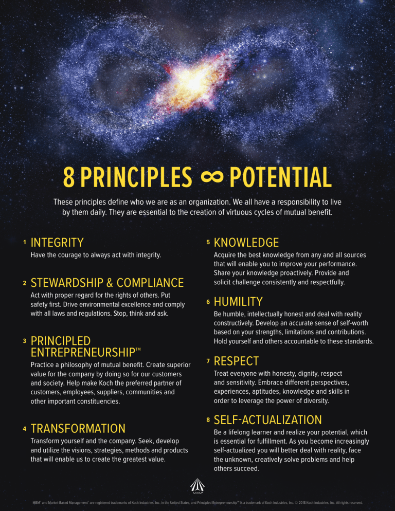 MBM Guiding Principles 2018 PREP - English (2)