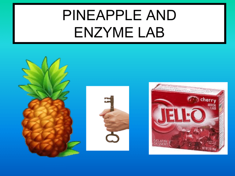 PINEAPPLE LAB 2016