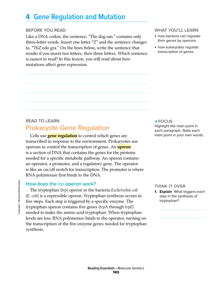 Gene Regulation & Mutation