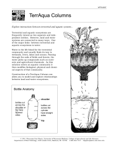 TerrAqua Columns: Exploring Ecosystem Interactions