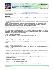 Cell Cycle & Cancer: Student Worksheet - In Depth