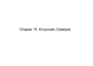 Enzymatic catalysis