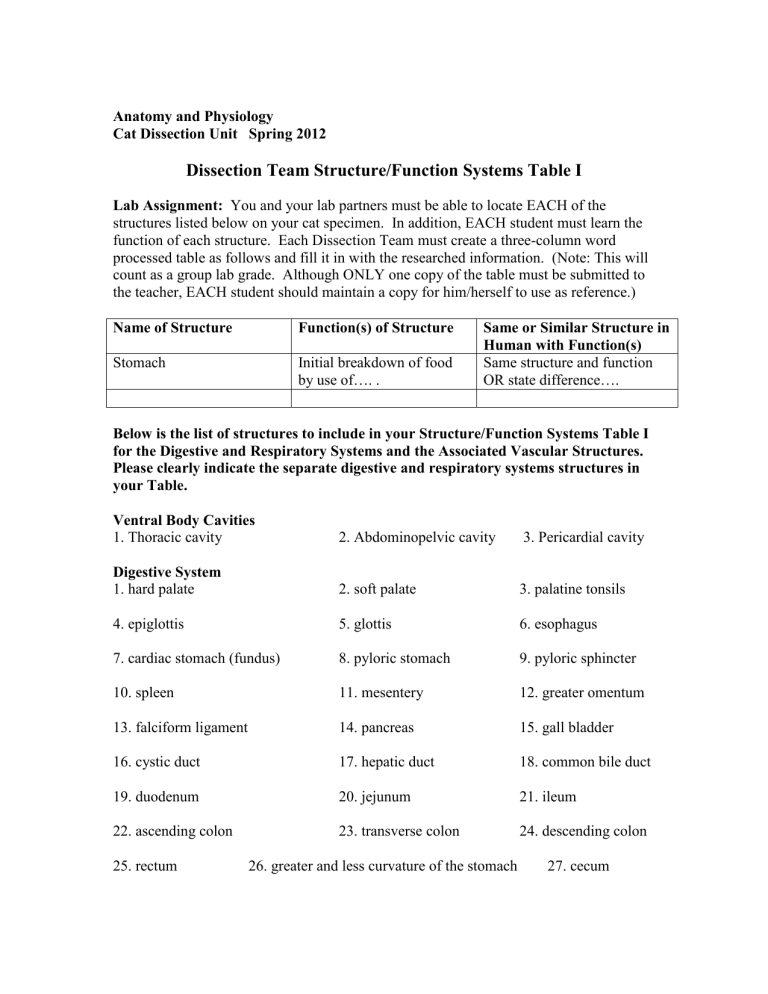 Cat Dissection Digestive System Structures