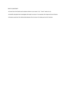 What is Anatomy? Definition and Scope