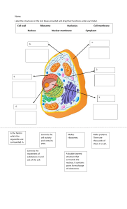 Cell Structure and Function Worksheet