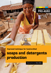 Soap and Detergent Processing
