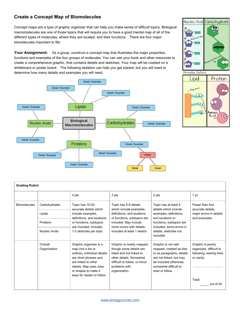 Concept Map For Biomolecules Create A Concept Map Of Biomolecules (1)