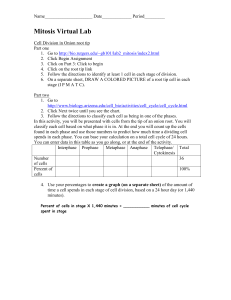 Mitosis Virtual Lab Worksheet: Onion Root Tip Cell Division