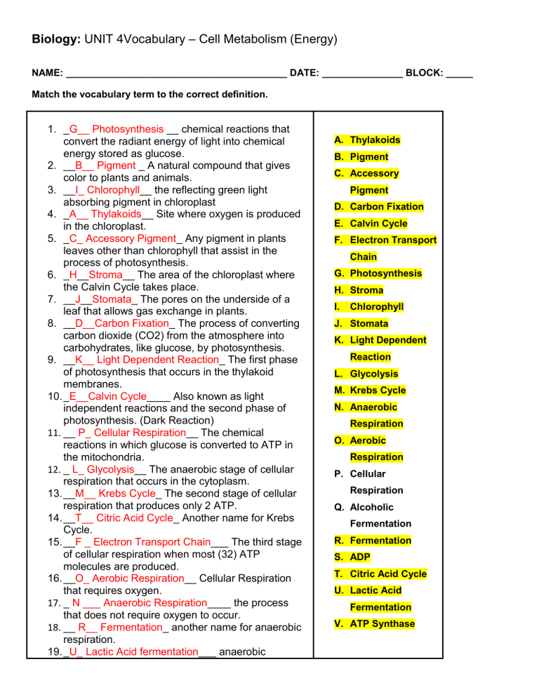 bio-unit-4-vocabulary-final