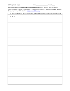 Cell Biology Worksheet: Cell Parts & Functions