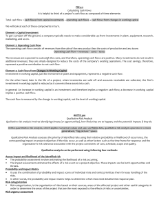 Cash Flow & Qualitative Risk Analysis