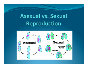 Sexual/Asexual Reproduction