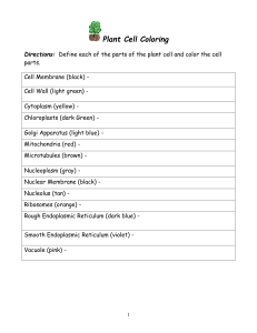 Plant Cell Coloring Worksheet