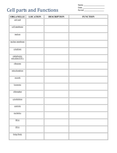 Cell Parts and Functions Worksheet