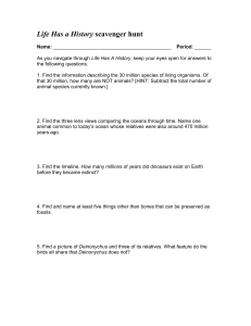 Life History Scavenger Hunt: Evolution Worksheet