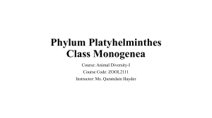 Platyhelminthes: Monogenea & Cestoidea