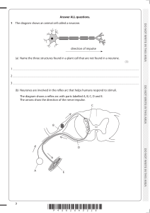 Biology Exam: Neurons, Reflex Arcs, Plant Cells