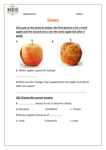 Decay Worksheet: Science for Grade 3