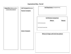 Cell Biology: Organelles, Transport, Respiration, Division