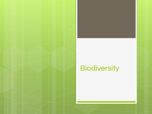 Biodiversity (1)