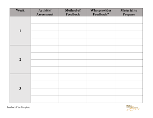 Feedback Plan Template