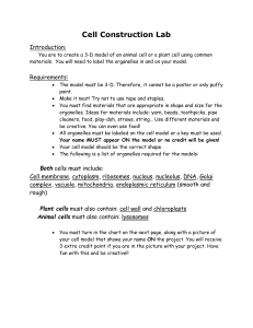 Cell Model Lab: 3D Cell Construction Assignment